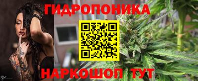 СК Кимры