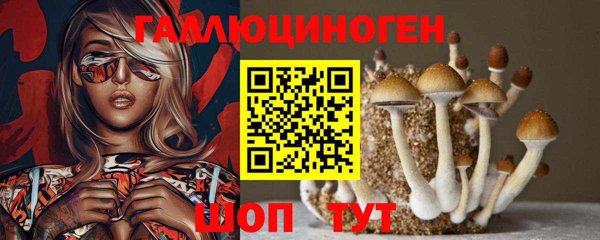 Галлюциногенные грибы GOLDEN TEACHER Десногорск
