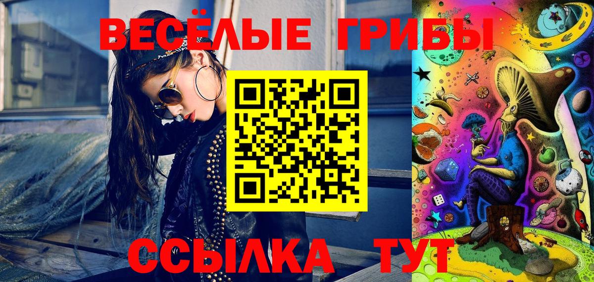 Десногорск  Псилоцибиновые грибы GOLDEN TEACHER  Вход с VPN  Псилоцибиновые грибы GOLDEN TEACHER 